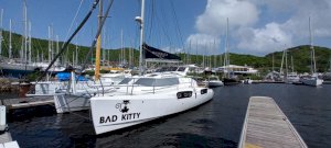 BAD KITTY